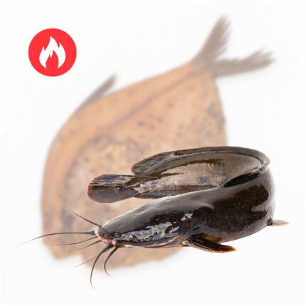 Karšto rūkymo išklotinė (afrikinis šamas)