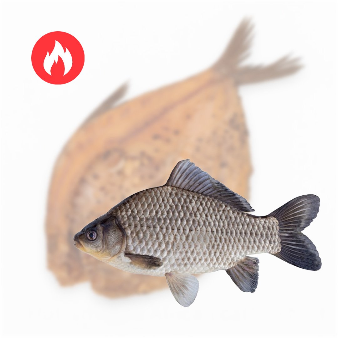 karsto rukymo isklotine karosas Karšto rūkymo išklotinė (karosas) - Image 1