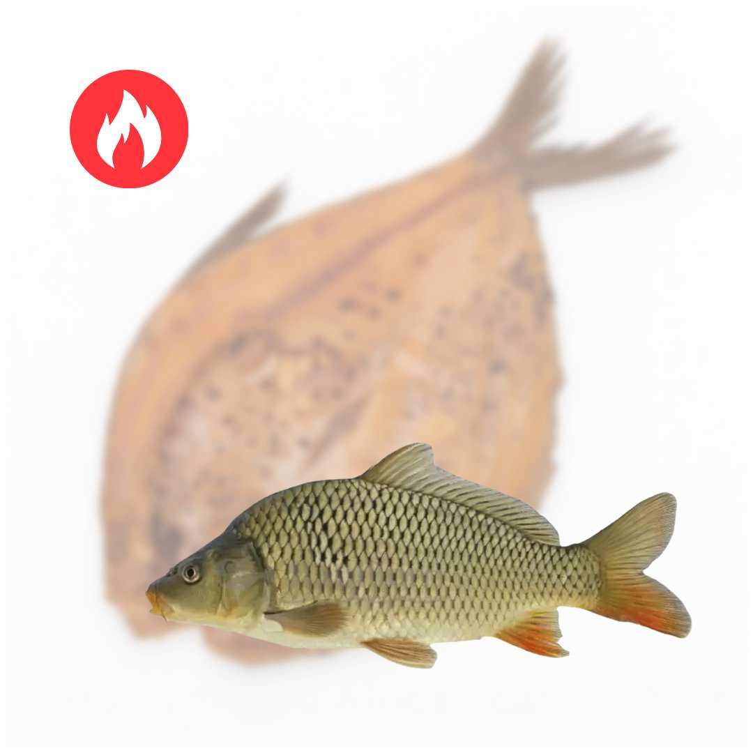 karsto rukymo isklotine karpis Karšto rūkymo išklotinė (karpis) - Image 1