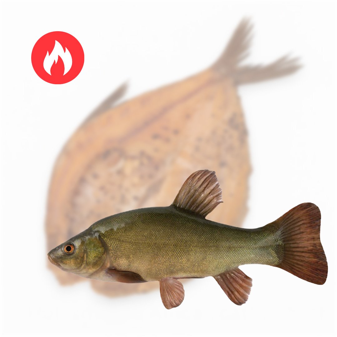 karsto rukymo isklotine lynas Karšto rūkymo išklotinė (lynas) - Image 1