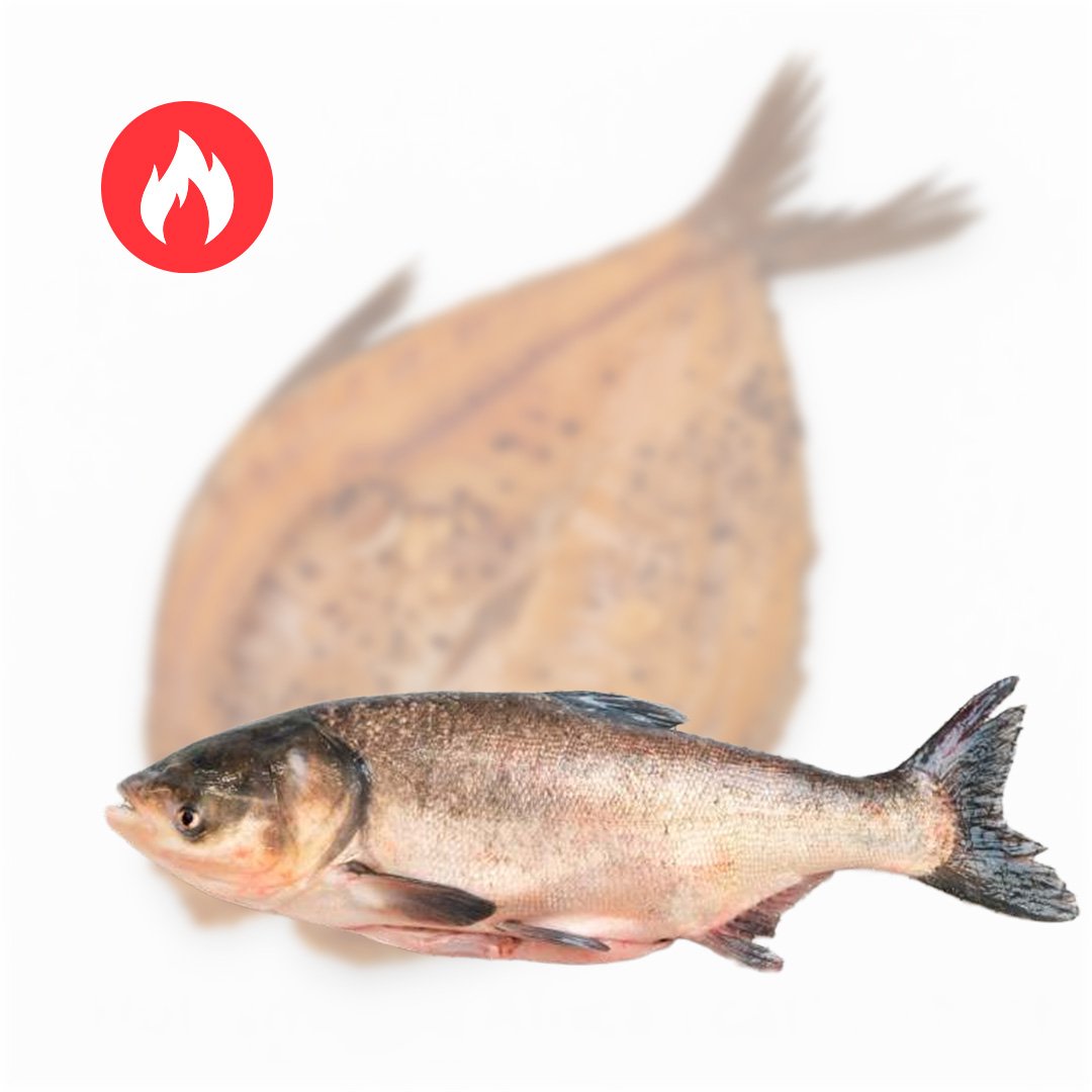 karsto rukymo isklotine placiakaktis Karšto rūkymo išklotinė (plačiakaktis) - Image 1